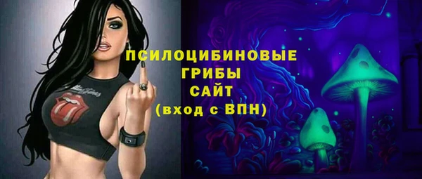 СК Липки