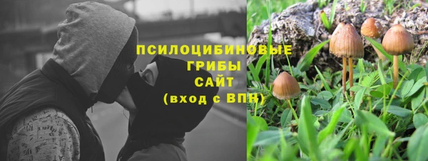 СК Липки